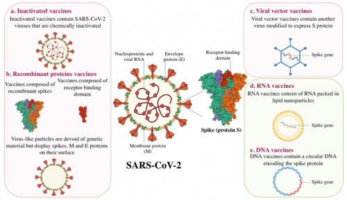 covid 19 vaccin types